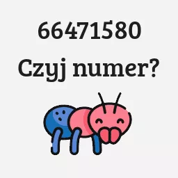 66471580