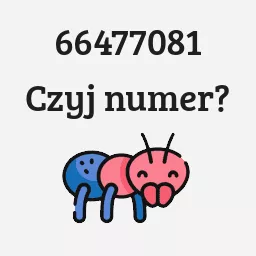 66477081