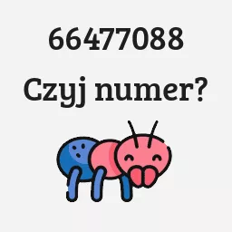 66477088