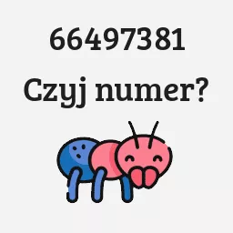 66497381