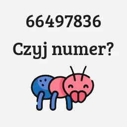 66497836