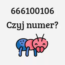 666100106