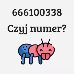 666100338