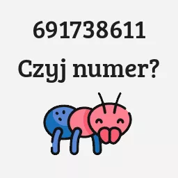 691738611