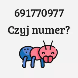 691770977