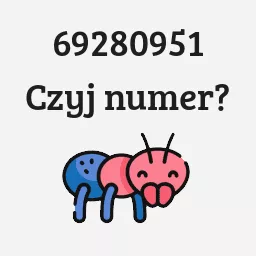 69280951