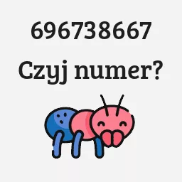 696738667