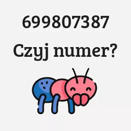 699807387