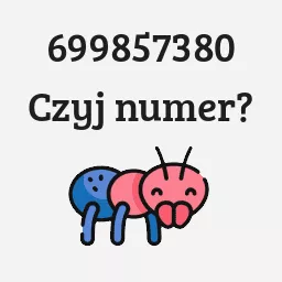 699857380