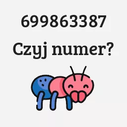 699863387