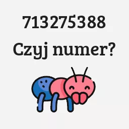 713275388