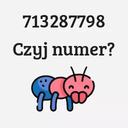 713287798