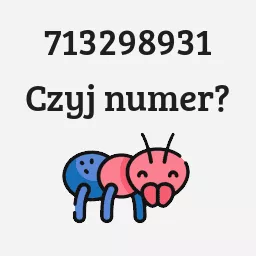 713298931