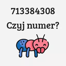 713384308