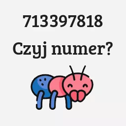 713397818