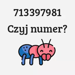 713397981