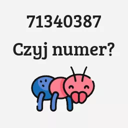 71340387