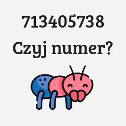 713405738