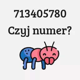 713405780