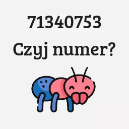 71340753