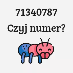 71340787