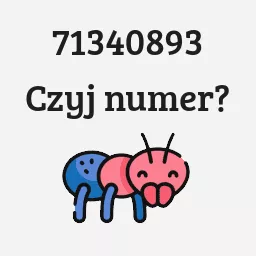 71340893