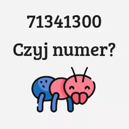 71341300