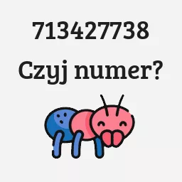 713427738