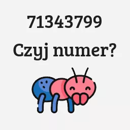 71343799