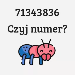 71343836