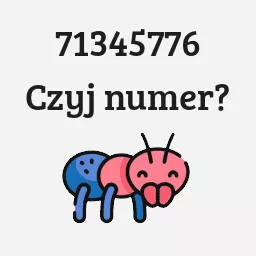 71345776