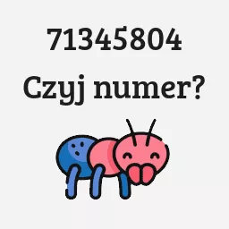 71345804