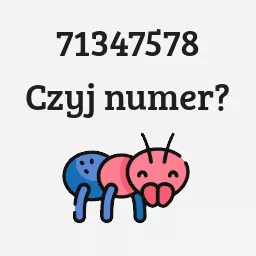 71347578