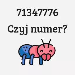 71347776