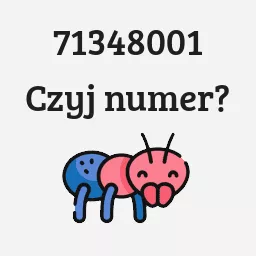 71348001