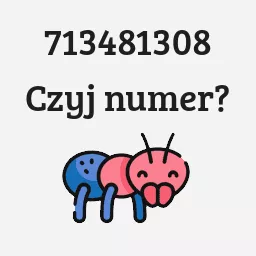 713481308