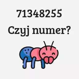 71348255