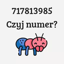 717813985