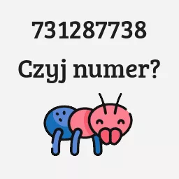 731287738