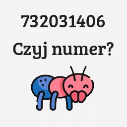 732031406