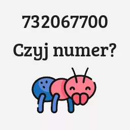 732067700