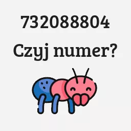 732088804