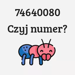 74640080