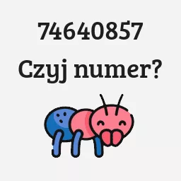 74640857