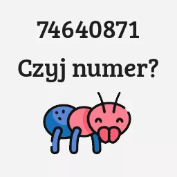 74640871