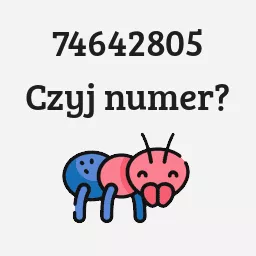 74642805