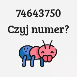 74643750