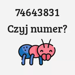 74643831