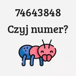 74643848