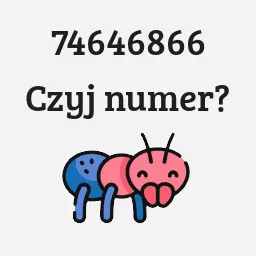 74646866